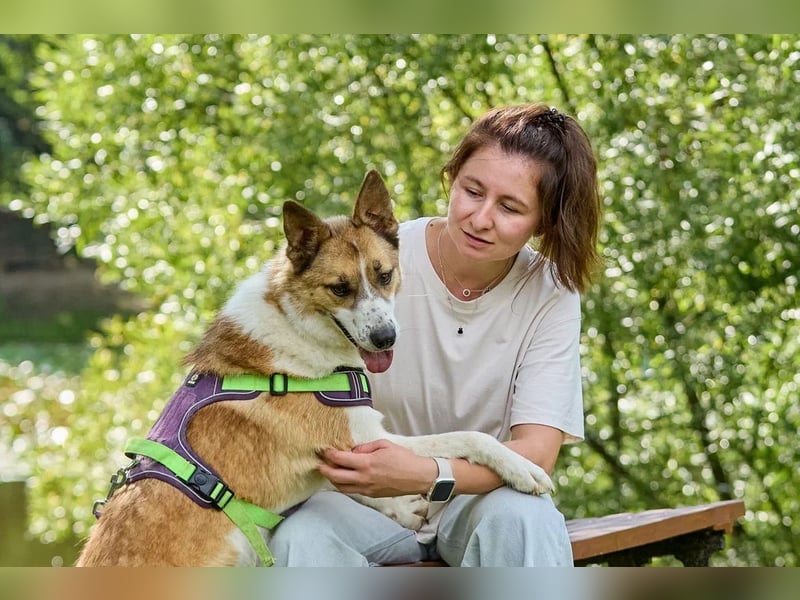Freundlicher Abenteurer Ushan ❤️ sucht naturverbundene Menschen