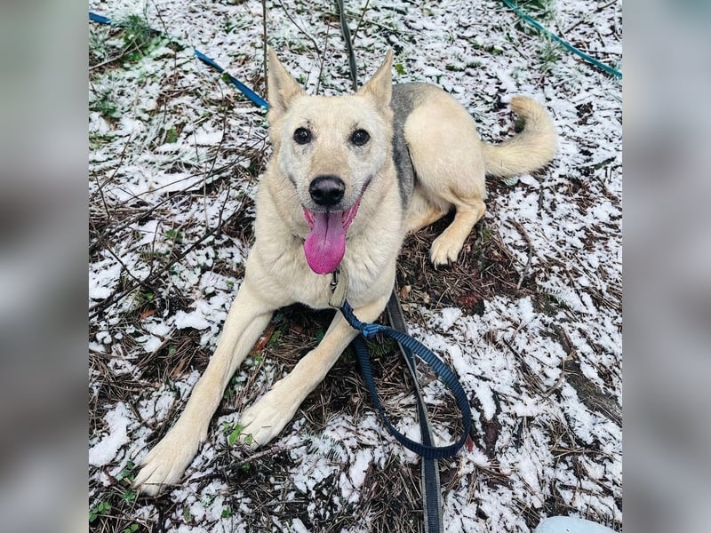 Kumi ❤️ sehnt sich nach ihren Herzensmenschen