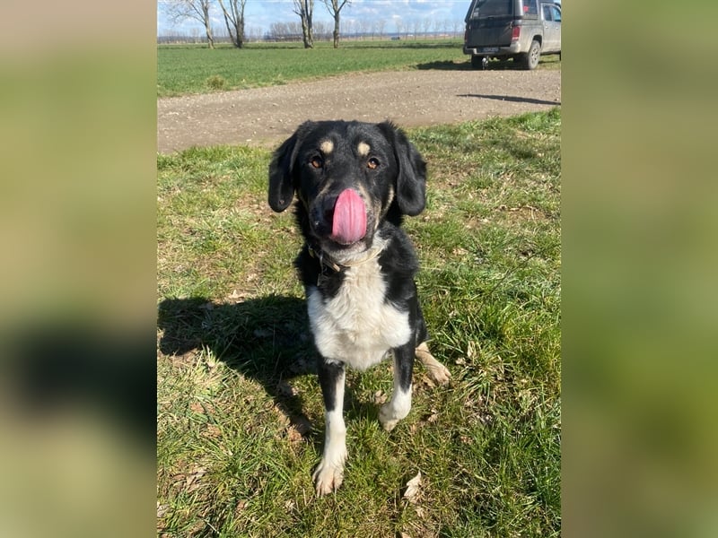 Noch immer auf der Suche, Pepe <3