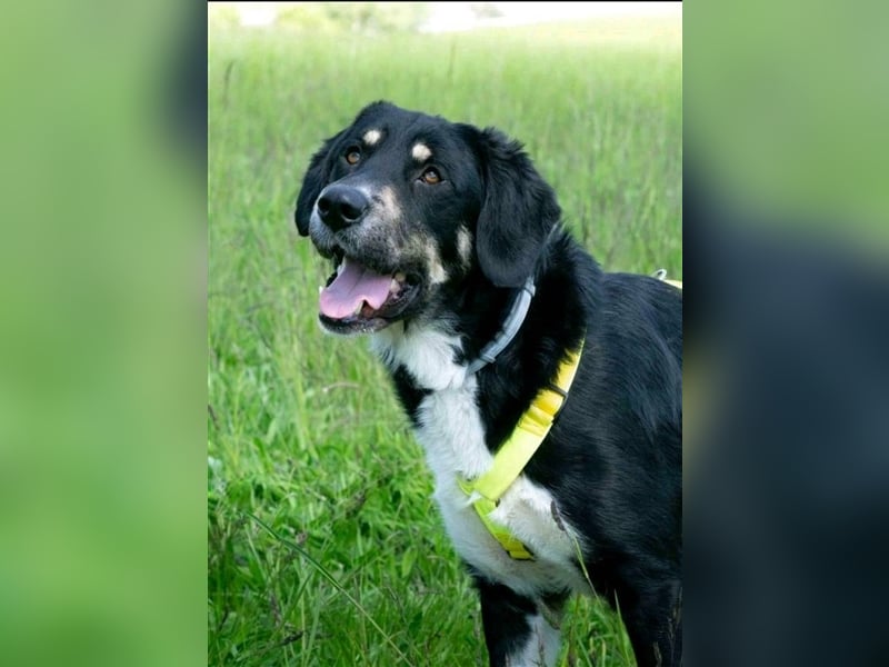 Noch immer auf der Suche, Pepe <3