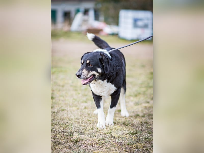 Noch immer auf der Suche, Pepe <3