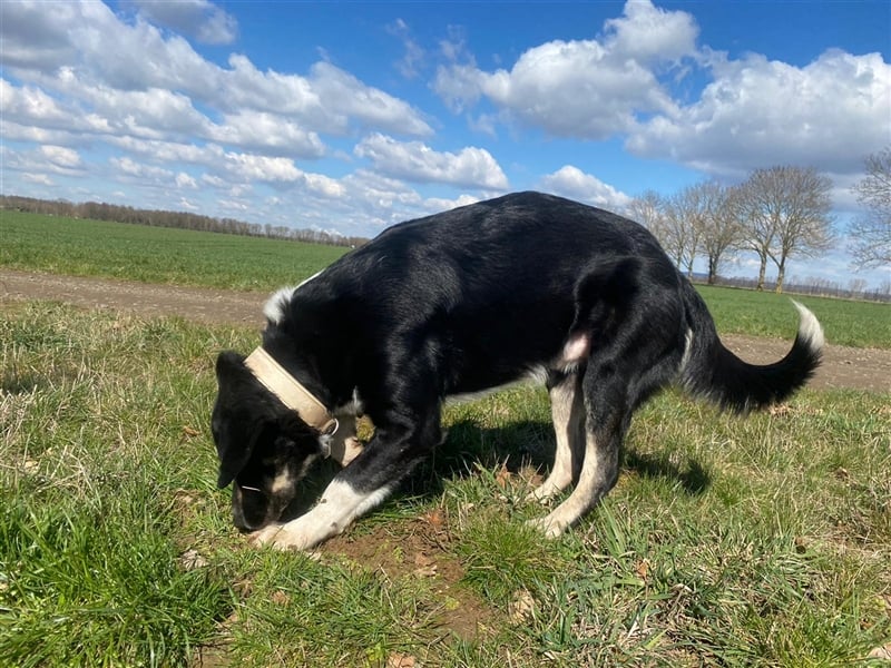 Noch immer auf der Suche, Pepe <3