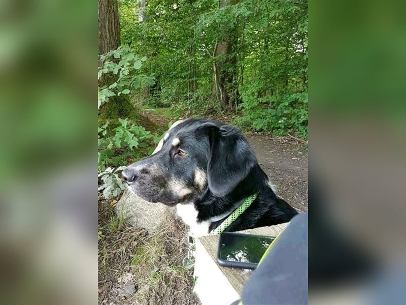 Noch immer auf der Suche, Pepe <3