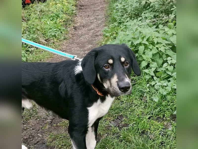 Noch immer auf der Suche, Pepe <3