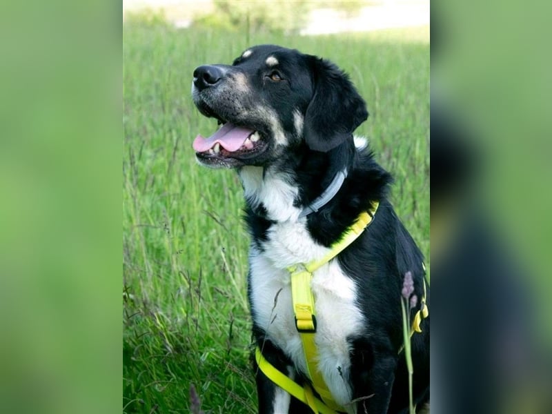 Noch immer auf der Suche, Pepe <3