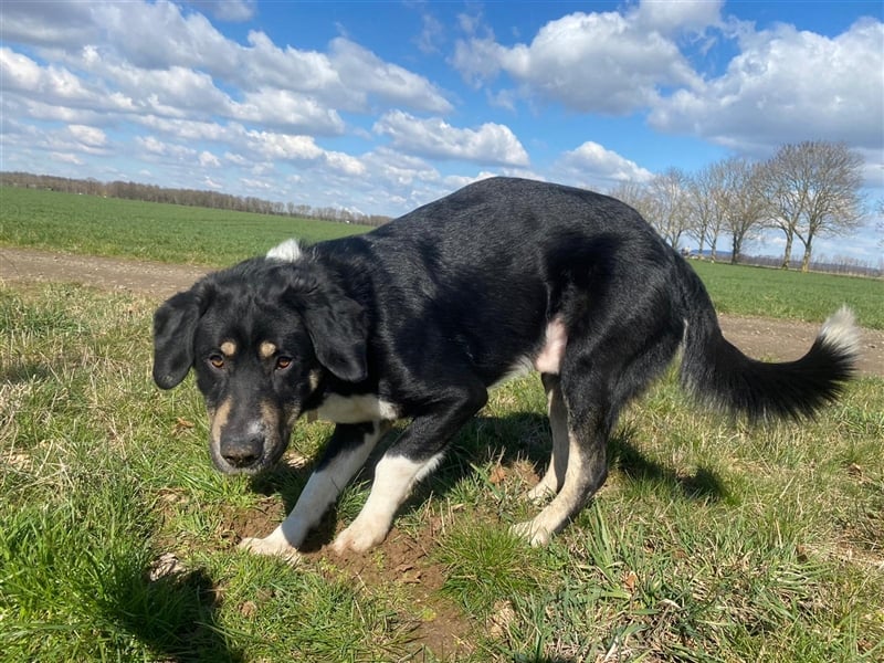 Noch immer auf der Suche, Pepe <3