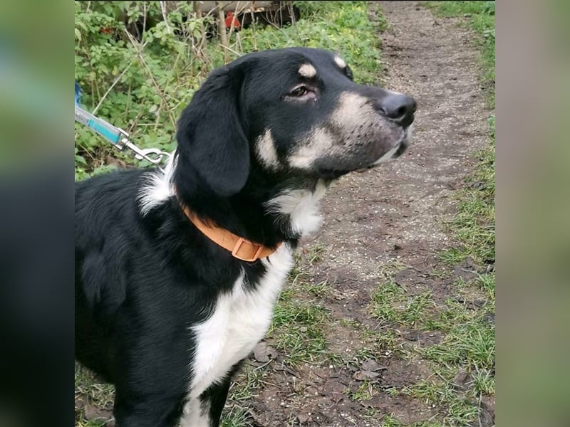 Noch immer auf der Suche, Pepe <3