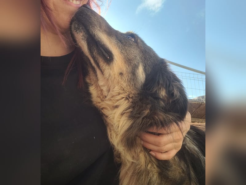 LUPIN sucht sein Zuhause