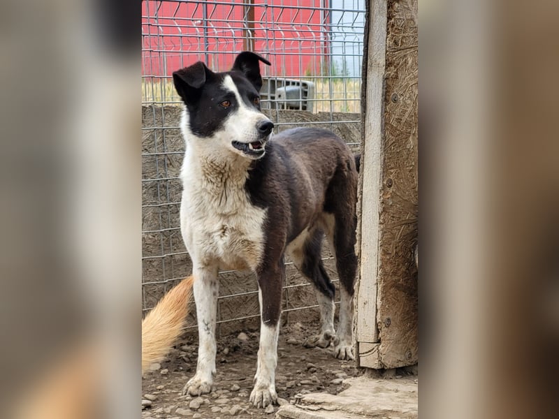 Kasper wünscht sich eine schöne Zukunft