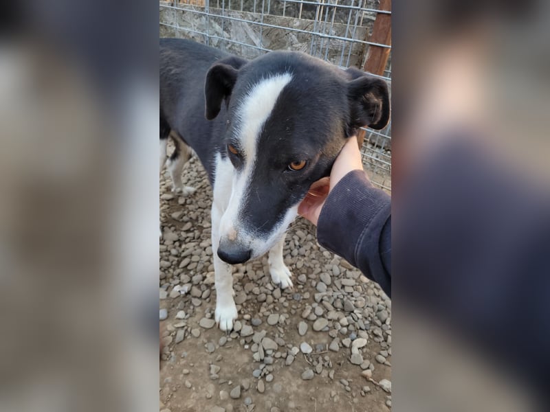 Kasper wünscht sich eine schöne Zukunft