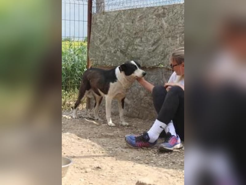 Kasper wünscht sich eine schöne Zukunft