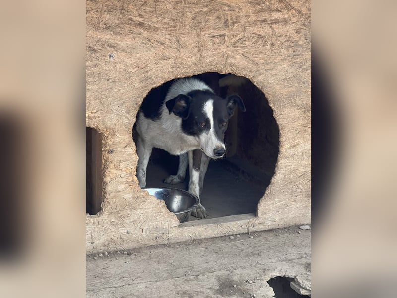 Kasper wünscht sich eine schöne Zukunft