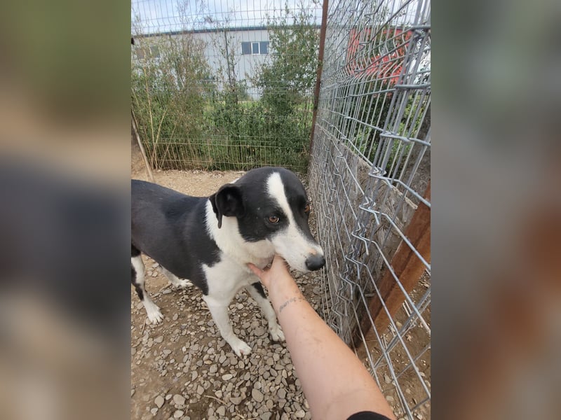 Kasper wünscht sich eine schöne Zukunft