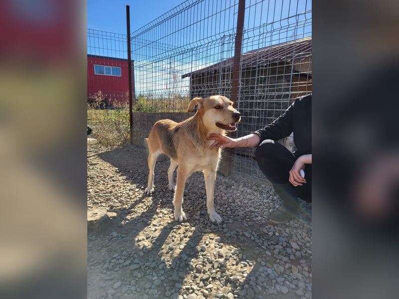 SILLY sehnt sich nach einem Zuhause