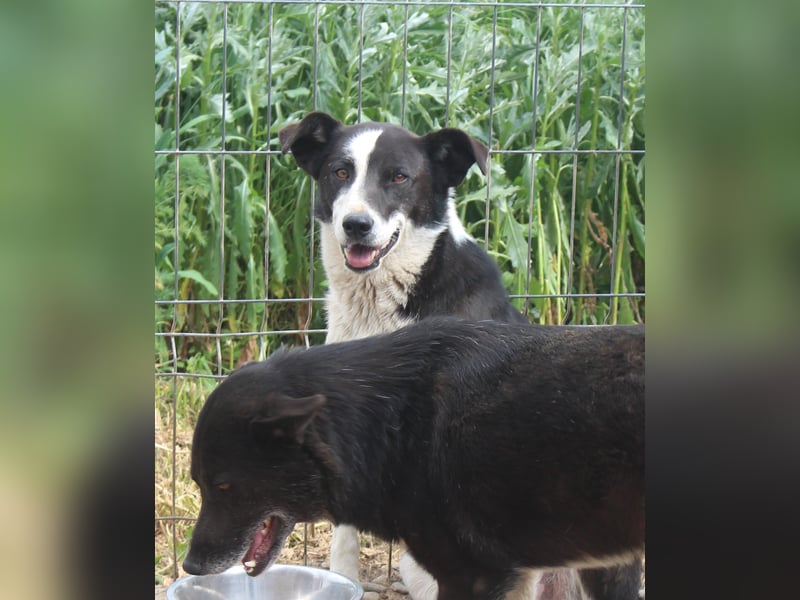 Kasper wünscht sich eine schöne Zukunft