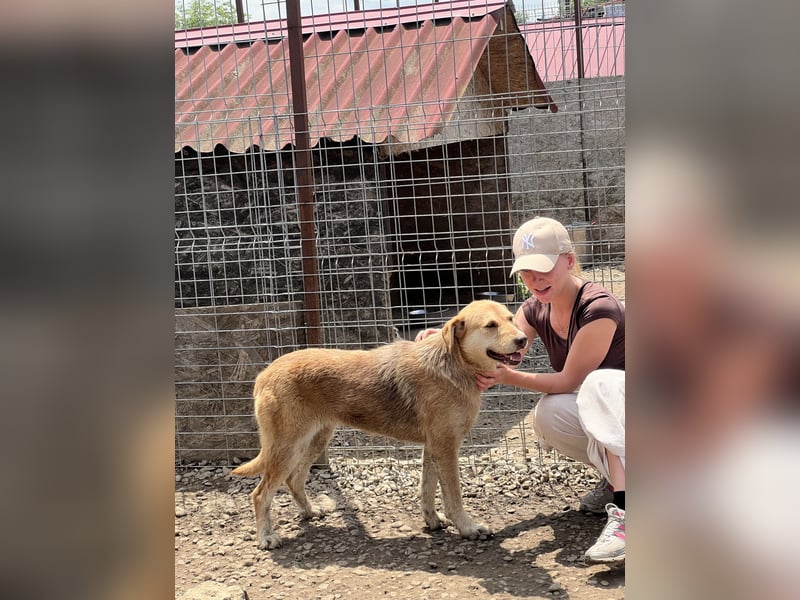 SILLY sehnt sich nach einem Zuhause