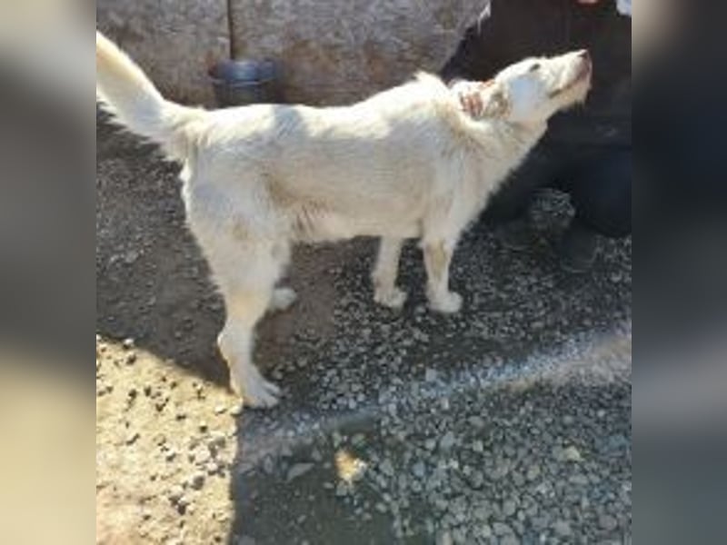 Die zauberhafte ANNA