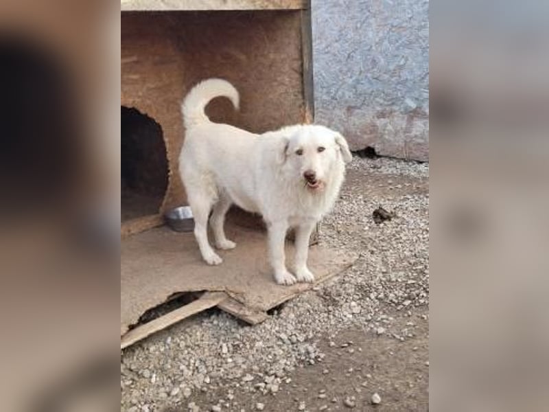 Die zauberhafte ANNA