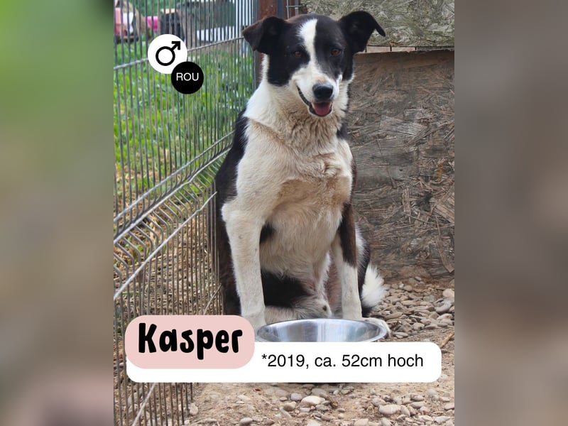 Kasper wünscht sich eine schöne Zukunft