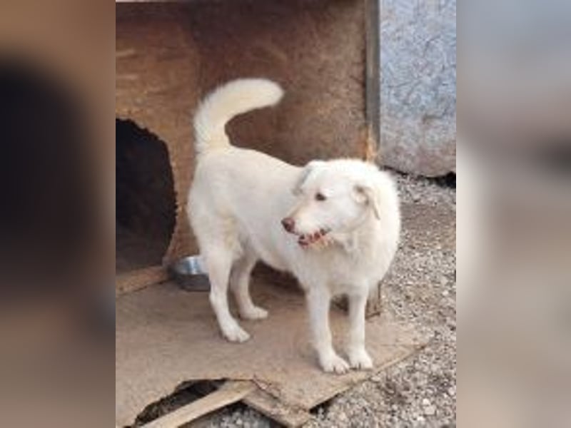 Die zauberhafte ANNA