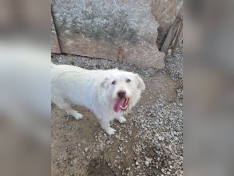 Die zauberhafte ANNA