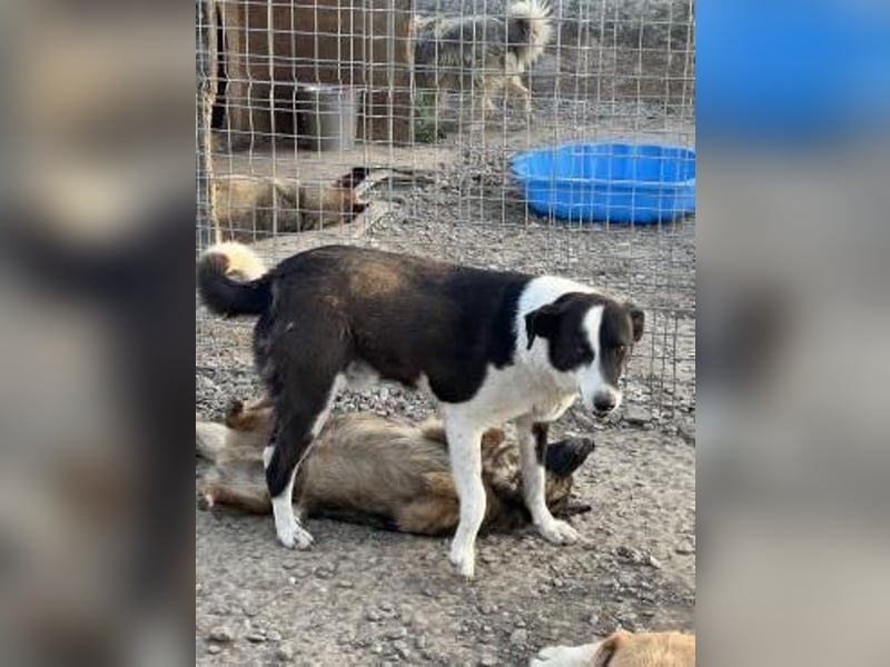 Kasper wünscht sich eine schöne Zukunft