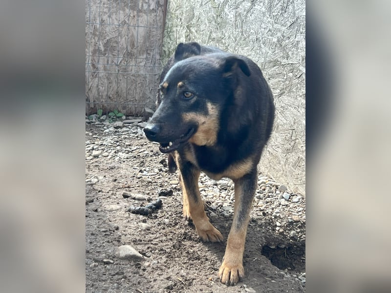 KARLA - darf ich bei dir aufblühen?