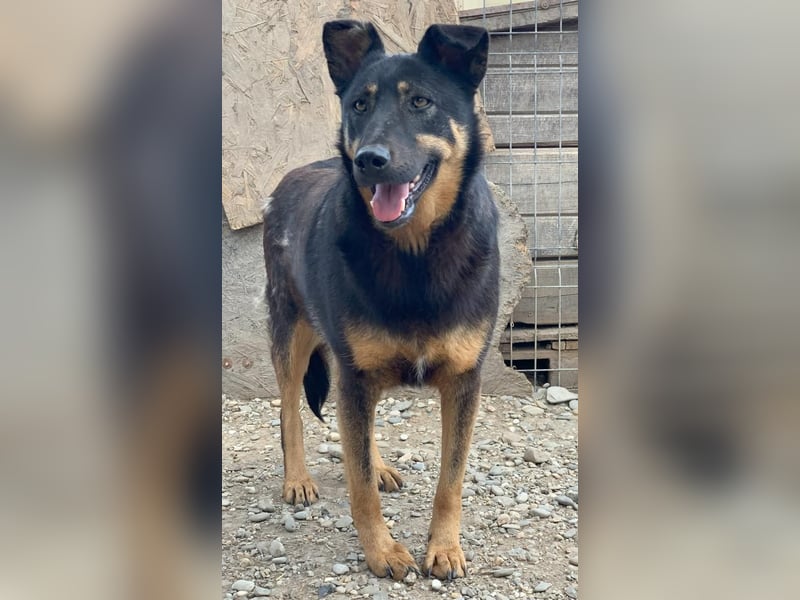 KARLA - darf ich bei dir aufblühen?