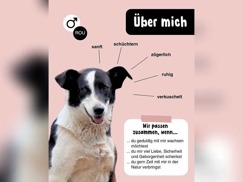 Kasper wünscht sich eine schöne Zukunft