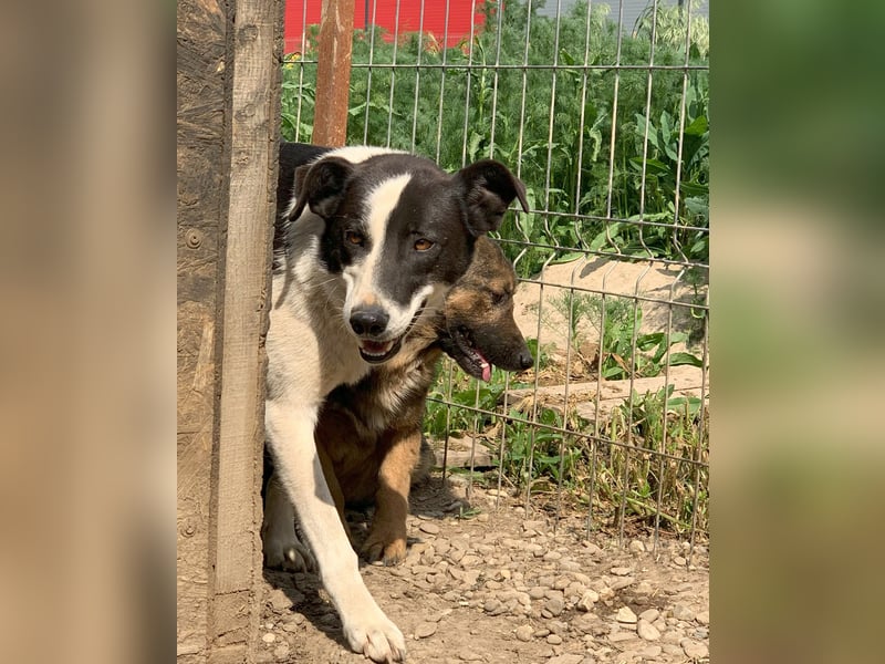 Kasper wünscht sich eine schöne Zukunft