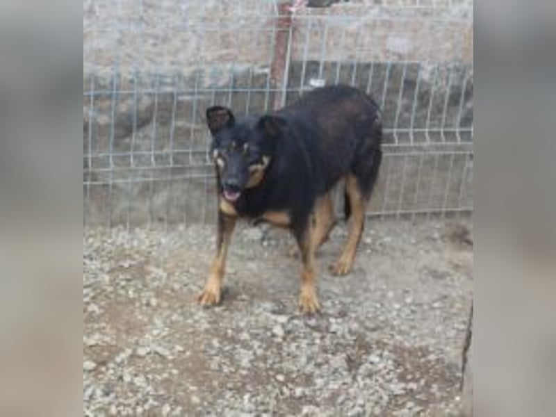 KARLA - darf ich bei dir aufblühen?