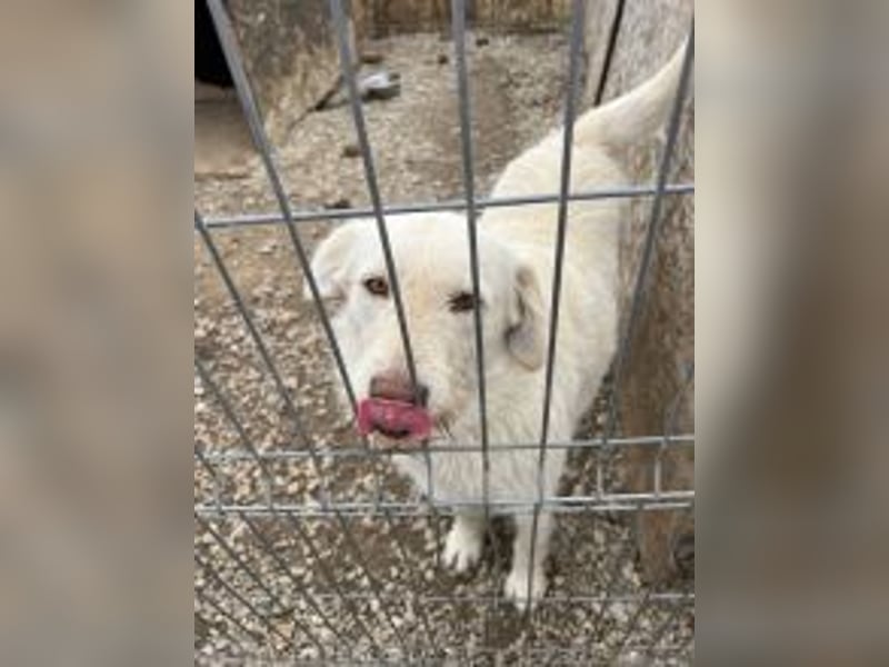 Die zauberhafte ANNA