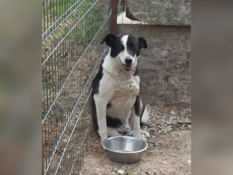 Kasper wünscht sich eine schöne Zukunft
