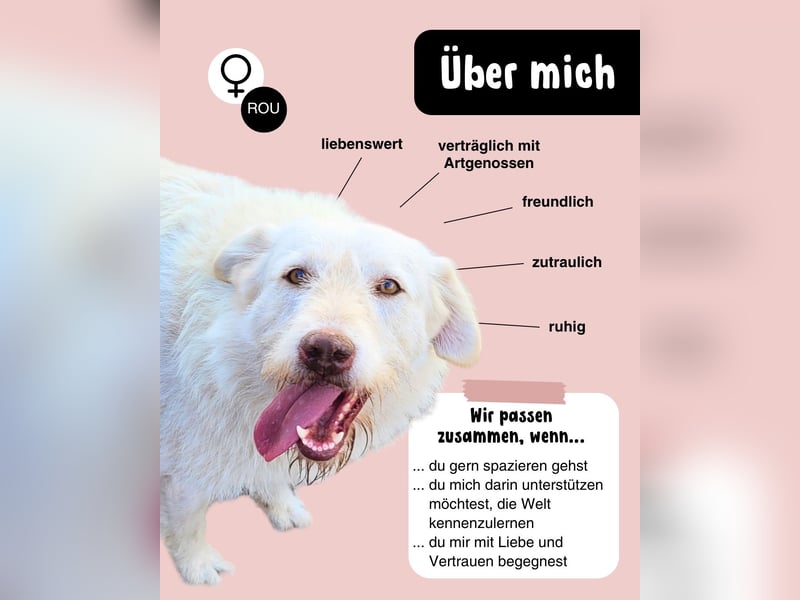 Die zauberhafte ANNA