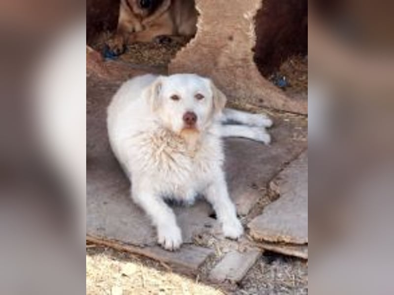 Die zauberhafte ANNA