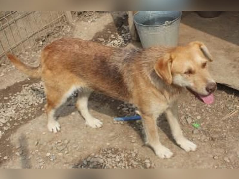 SILLY sehnt sich nach einem Zuhause