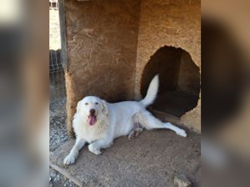 Die zauberhafte ANNA