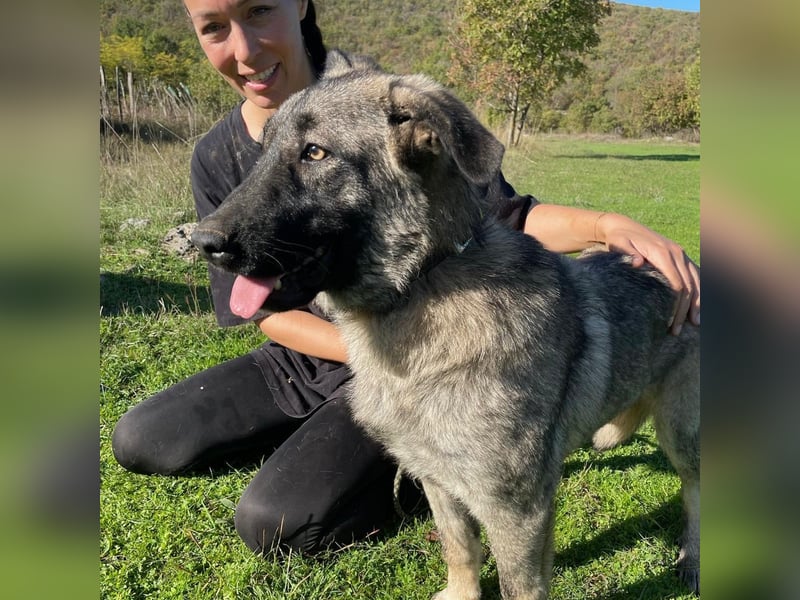 Veresa sucht ein Zuhause oder eine PS❤️