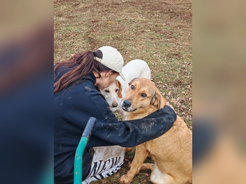 Liebevolle ANGELA sucht Familie ❤️