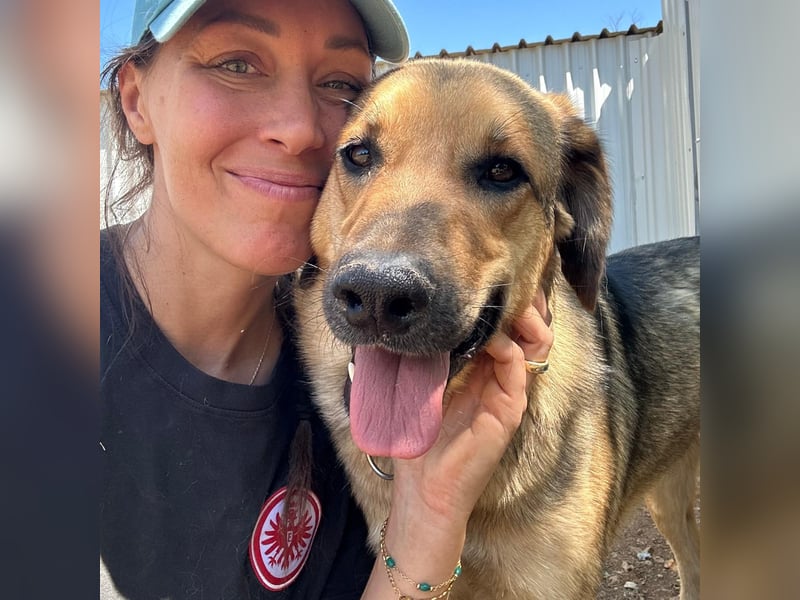 Burbon sucht sein forever Home❤️