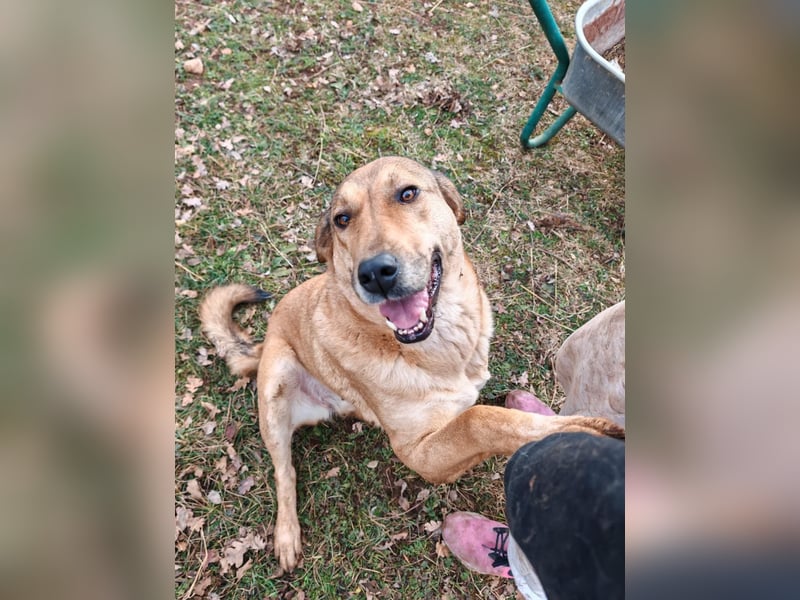 Liebevolle ANGELA sucht Familie ❤️