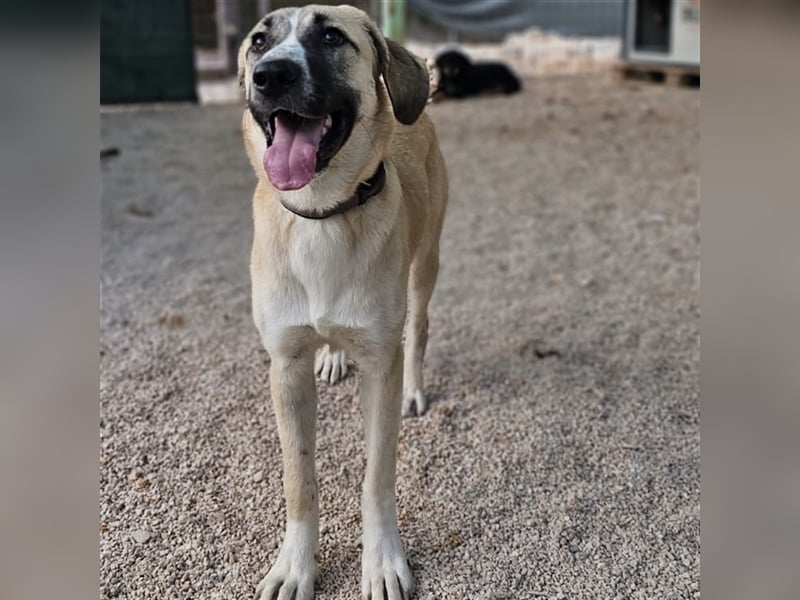 Bounty sucht ihre Familie ❤️