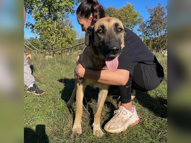 Silvia sucht ihr Für-Immer-Zuhause❤️