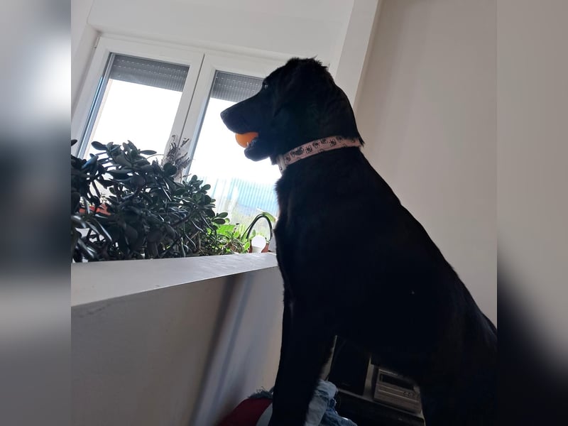 Sportliche Rosie sucht ihr Glück ❤️