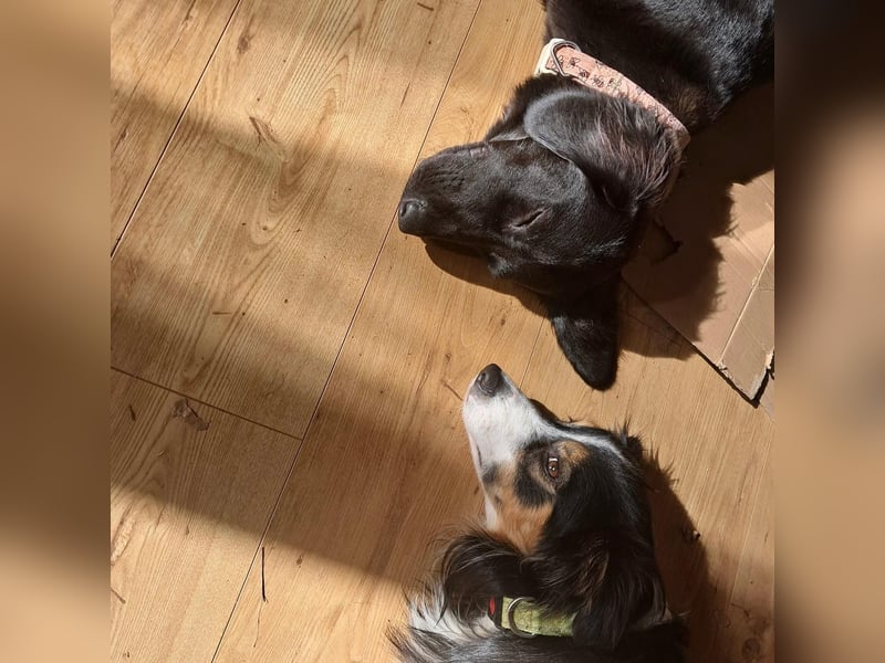 Sportliche Rosie sucht ihr Glück ❤️