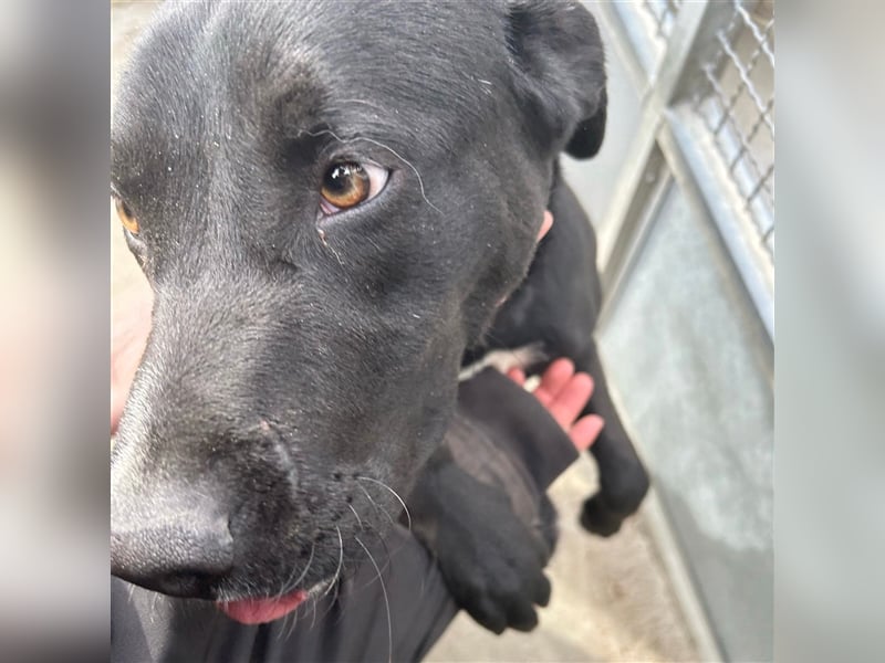 Teenie Sid sucht seine Familie ❤️