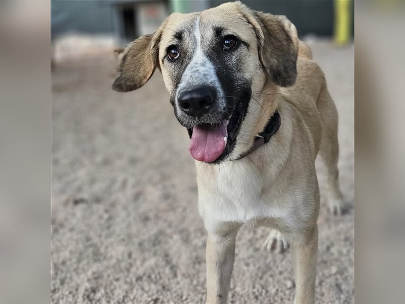 Bounty sucht ihre Familie ❤️