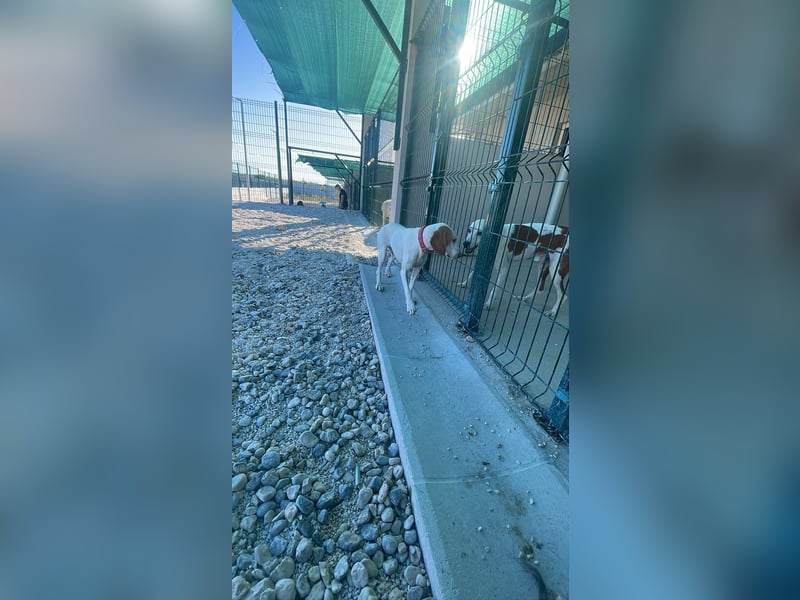Liebevolle Sunny sucht ihr Glück ❤️