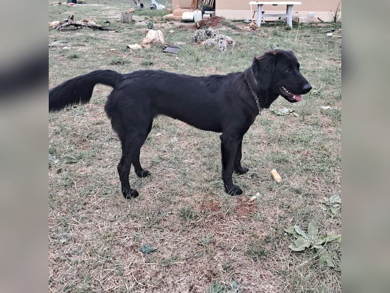 Sportliche Rosie sucht ihr Glück ❤️