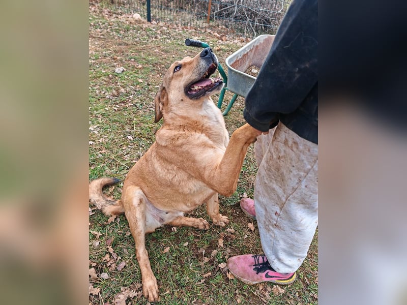 Liebevolle ANGELA sucht Familie ❤️